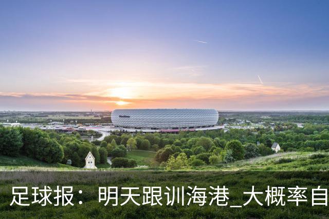 足球报：明天跟训海港 大概率自由身加盟 外援要补强